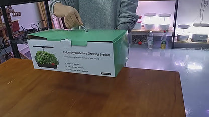 Hydroponic Planter  Indoor Garden